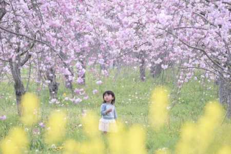 女孩起名