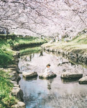 男孩起名